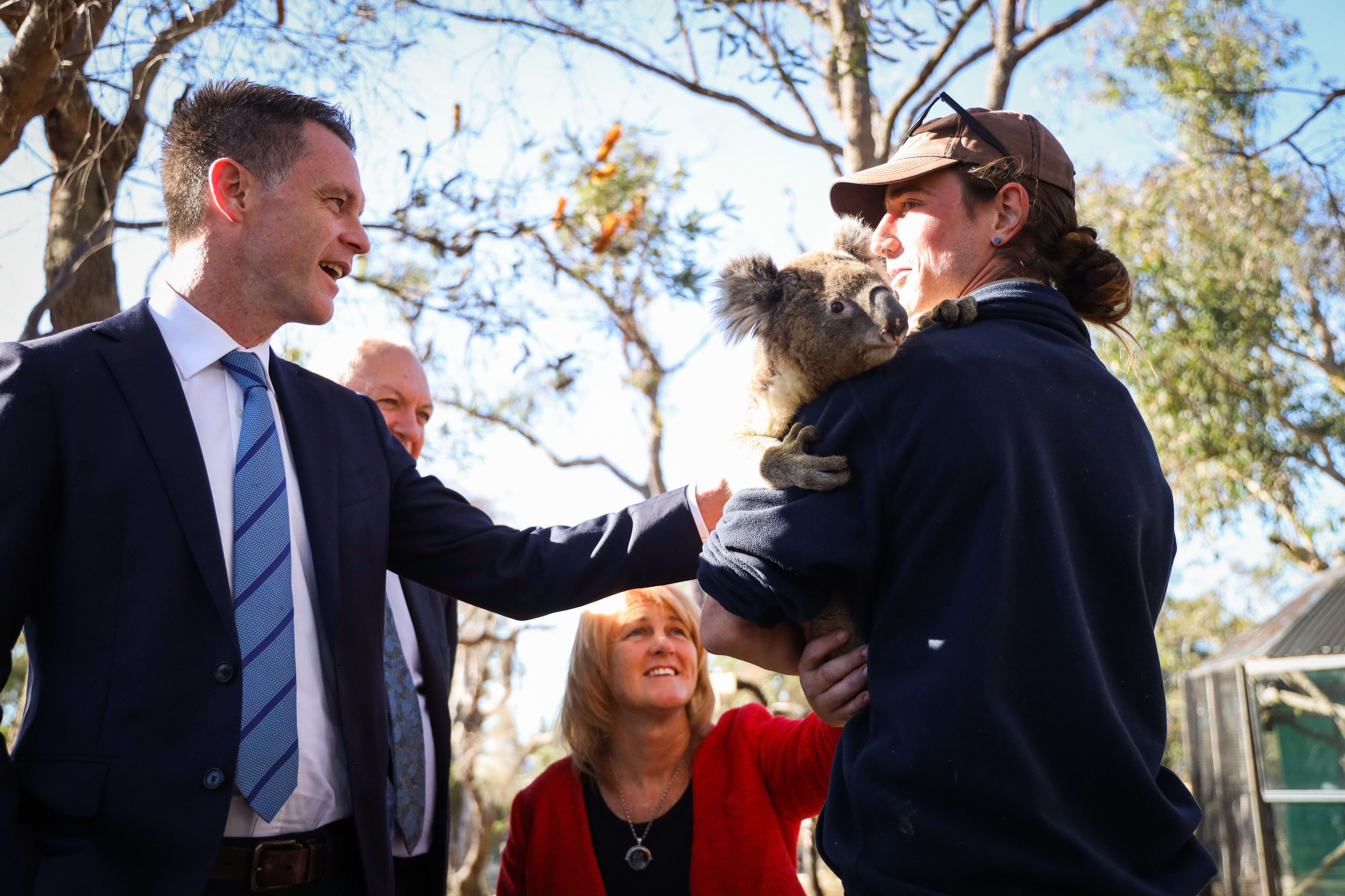 Great Koala National Park Main Image